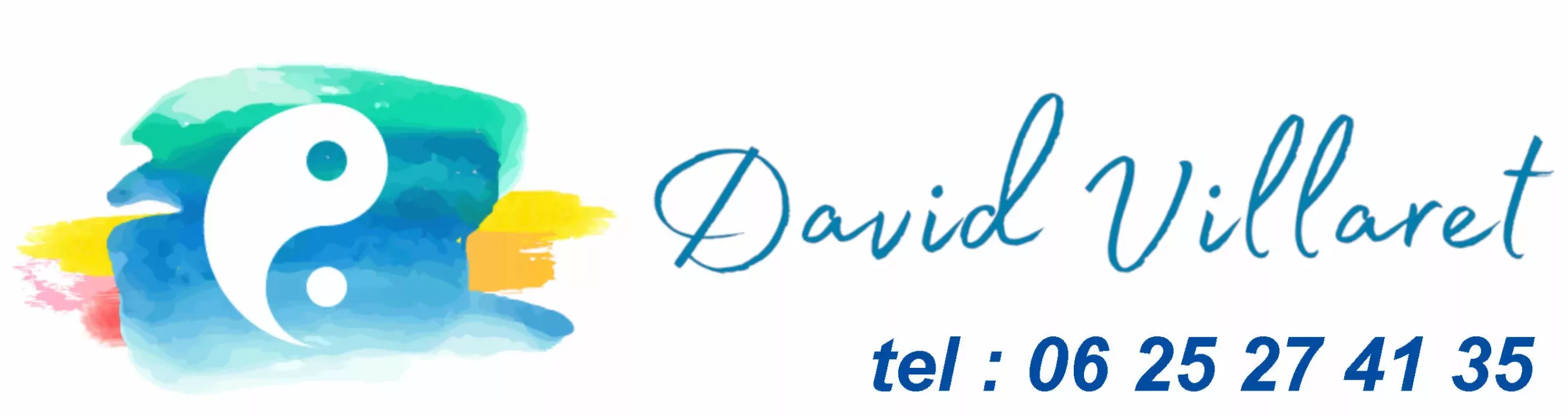 logo David VILLARET Réflexologue Surgères